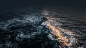 67,000 BTC Whale Sell-Off Meets Silent Market and New Buyer Class