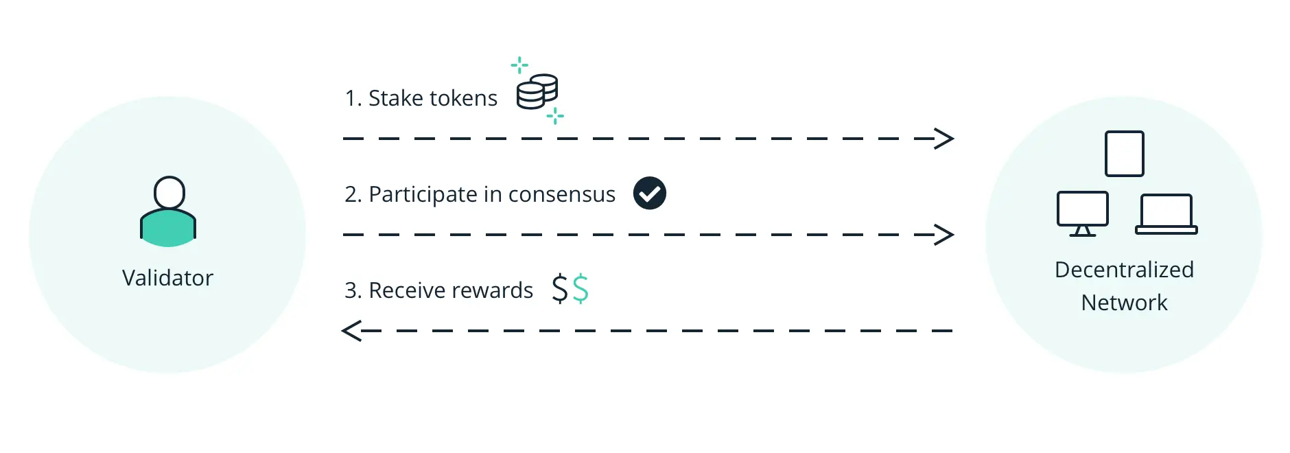 Diagram showing the Proof of Stake process: Validator stakes tokens, participates in consensus, and receives rewards.