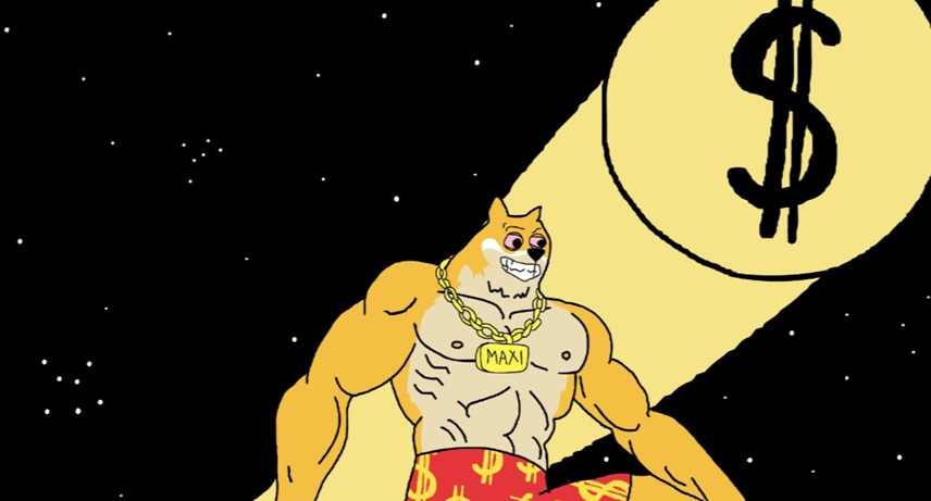 Maxi Doge Next Crypto to Explode