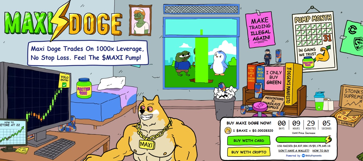 maxi doge