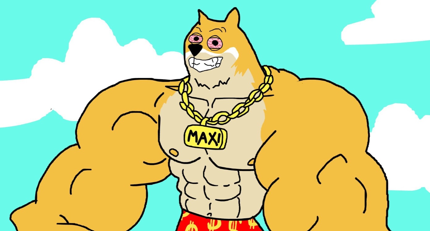 MAXI Doge Best Crypto to Buy